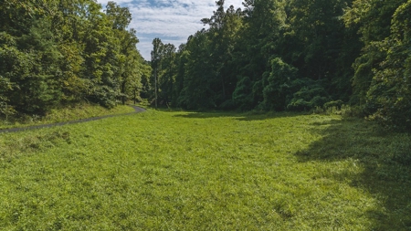 Log Home & Acreage for Sale in Stuart, VA - $125,000 RESERVE - image 36