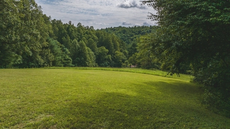 Log Home & Acreage for Sale in Stuart, VA - $125,000 RESERVE - image 34