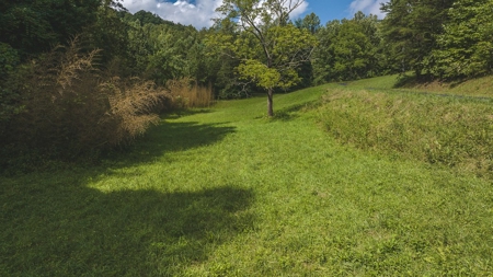 Log Home & Acreage for Sale in Stuart, VA - $125,000 RESERVE - image 37
