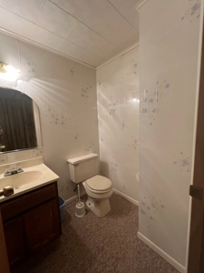 Home For Sale on the City of Manawa - image 13