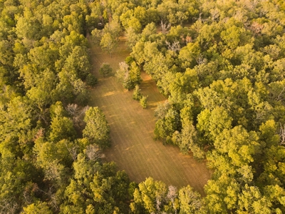 Home for Sale St. Clair County, MO - image 13