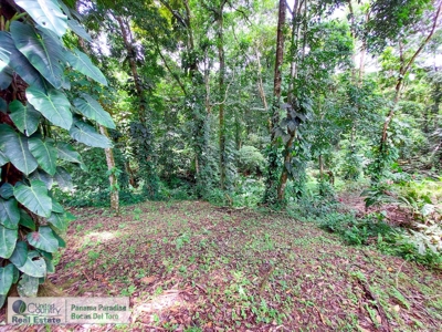 Titled Waterfront Home with Elevated Views and Sea Breezes - image 34