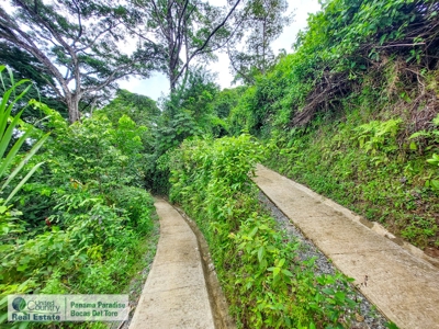 Titled Waterfront Home with Elevated Views and Sea Breezes - image 35