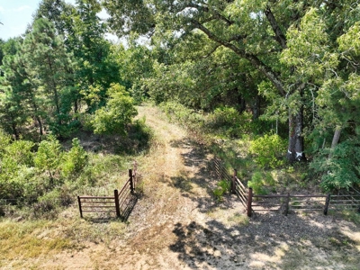 Prime Hunting Property in Southeast Oklahoma – A True Wildli - image 18