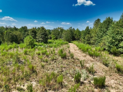 Prime Hunting Property in Southeast Oklahoma – A True Wildli - image 42