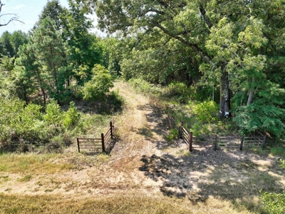 Prime Hunting Property in Southeast Oklahoma – A True Wildli - image 19