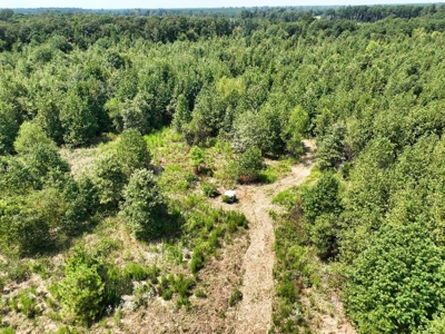 Prime Hunting Property in Southeast Oklahoma – A True Wildli - image 34