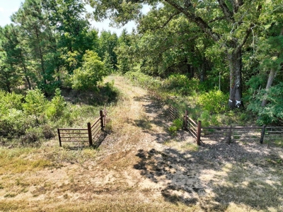 Prime Hunting Property in Southeast Oklahoma – A True Wildli - image 17