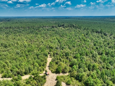 Prime Hunting Property in Southeast Oklahoma – A True Wildli - image 32