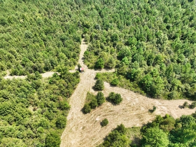 Prime Hunting Property in Southeast Oklahoma – A True Wildli - image 31