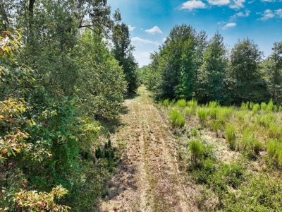 Prime Hunting Property in Southeast Oklahoma – A True Wildli - image 43