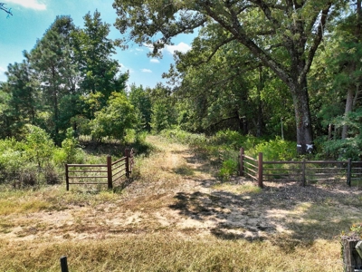 Prime Hunting Property in Southeast Oklahoma – A True Wildli - image 16