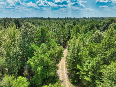 Prime Hunting Property in Southeast Oklahoma – A True Wildli - image 25