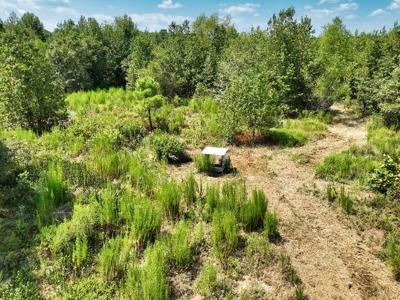 Prime Hunting Property in Southeast Oklahoma – A True Wildli - image 33