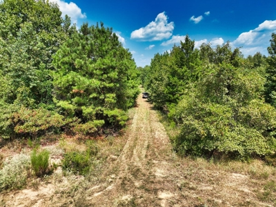 Prime Hunting Property in Southeast Oklahoma – A True Wildli - image 41