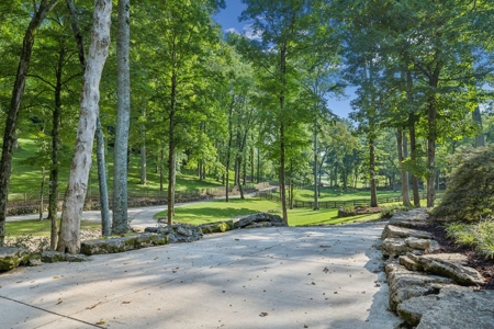 Exquisite Franklin Estate with Guest House and Resort-Style - image 3