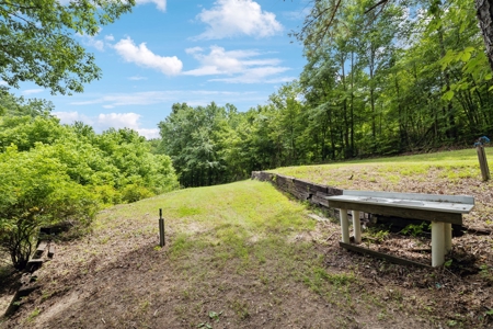 Serene Woodland Retreat with Modern Comforts in Franklin - image 33