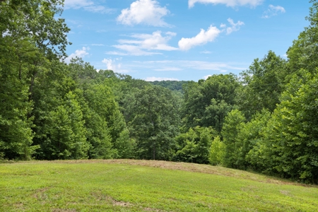 Serene Woodland Retreat with Modern Comforts in Franklin - image 30