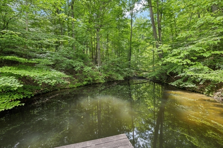 Serene Woodland Retreat with Modern Comforts in Franklin - image 32