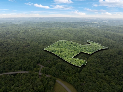 Serene Woodland Retreat with Modern Comforts in Franklin - image 47