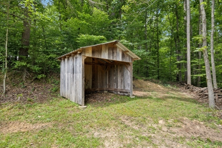 Serene Woodland Retreat with Modern Comforts in Franklin - image 29