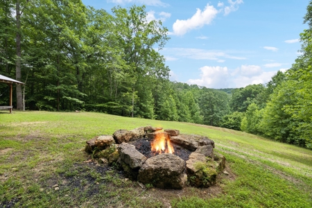 Serene Woodland Retreat with Modern Comforts in Franklin - image 26
