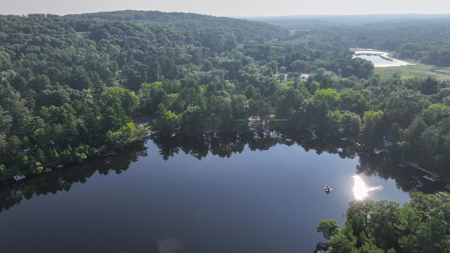 Waterfront Home For Auction on Emerald Lake in Mt. Morris WI - image 50