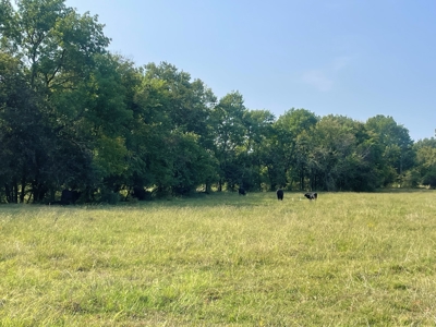 Ranch with Custom Home & Hunting Near Broken Bow Lake, OK - image 14