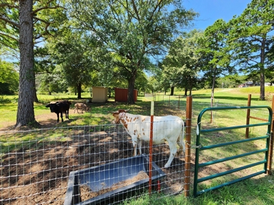 Country Home, Acreage & Shop – National Forest Area - image 44