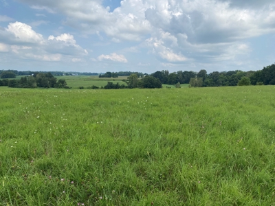 Online Auction featuring 31 Acres offered in One Parcel Only - image 1