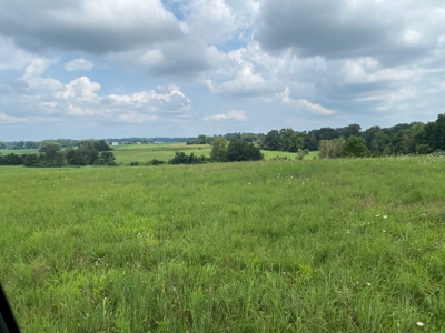 Online Auction featuring 31 Acres offered in One Parcel Only - image 7