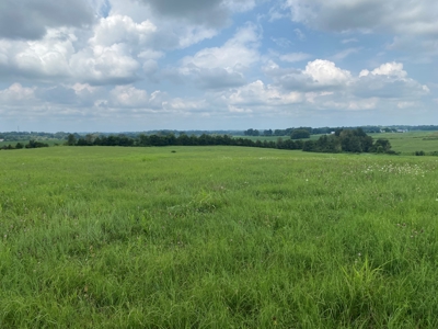Online Auction featuring 31 Acres offered in One Parcel Only - image 3