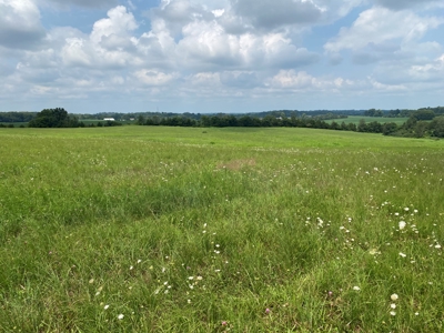 Online Auction featuring 31 Acres offered in One Parcel Only - image 6