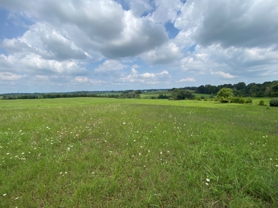 Online Auction featuring 31 Acres offered in One Parcel Only - image 5