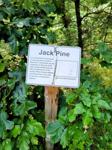 4.5 Acres bordering thousands of acres of public land in WI - image 9