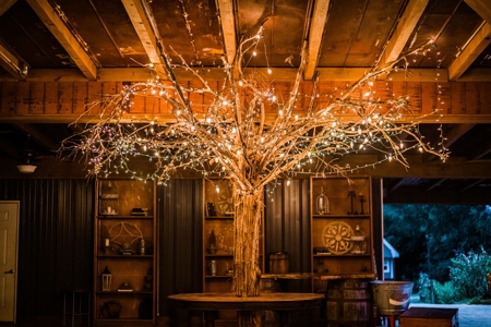 48 acre Successful GA Wedding Venues near Athens area - image 12