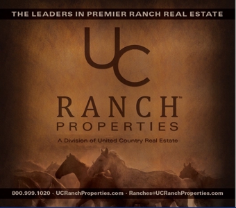 Colorado Mountain Home, Ranch and Hunting Property for sale - image 38