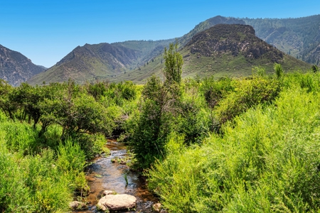 Colorado Mountain Home, Ranch and Hunting Property for sale - image 22