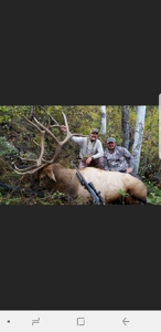 Colorado Mountain Home, Ranch and Hunting Property for sale - image 25