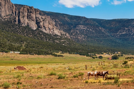 Colorado Mountain Home, Ranch and Hunting Property for sale - image 20