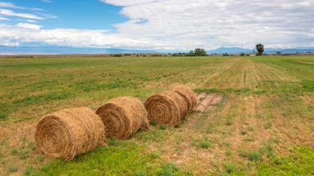 Colorado Ranch For Sale - image 24
