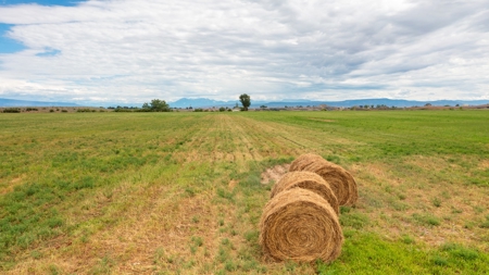 Colorado Ranch For Sale - image 5