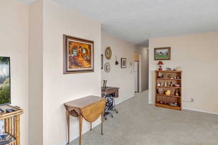 Colorado Ranch For Sale - image 10