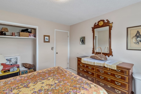 Colorado Ranch For Sale - image 13