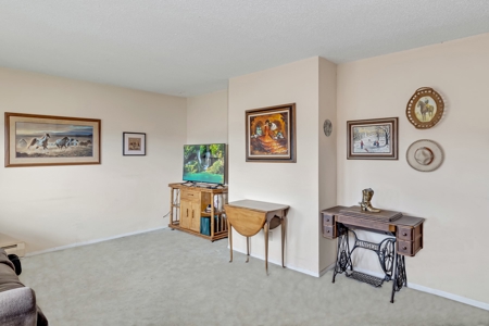 Colorado Ranch For Sale - image 8