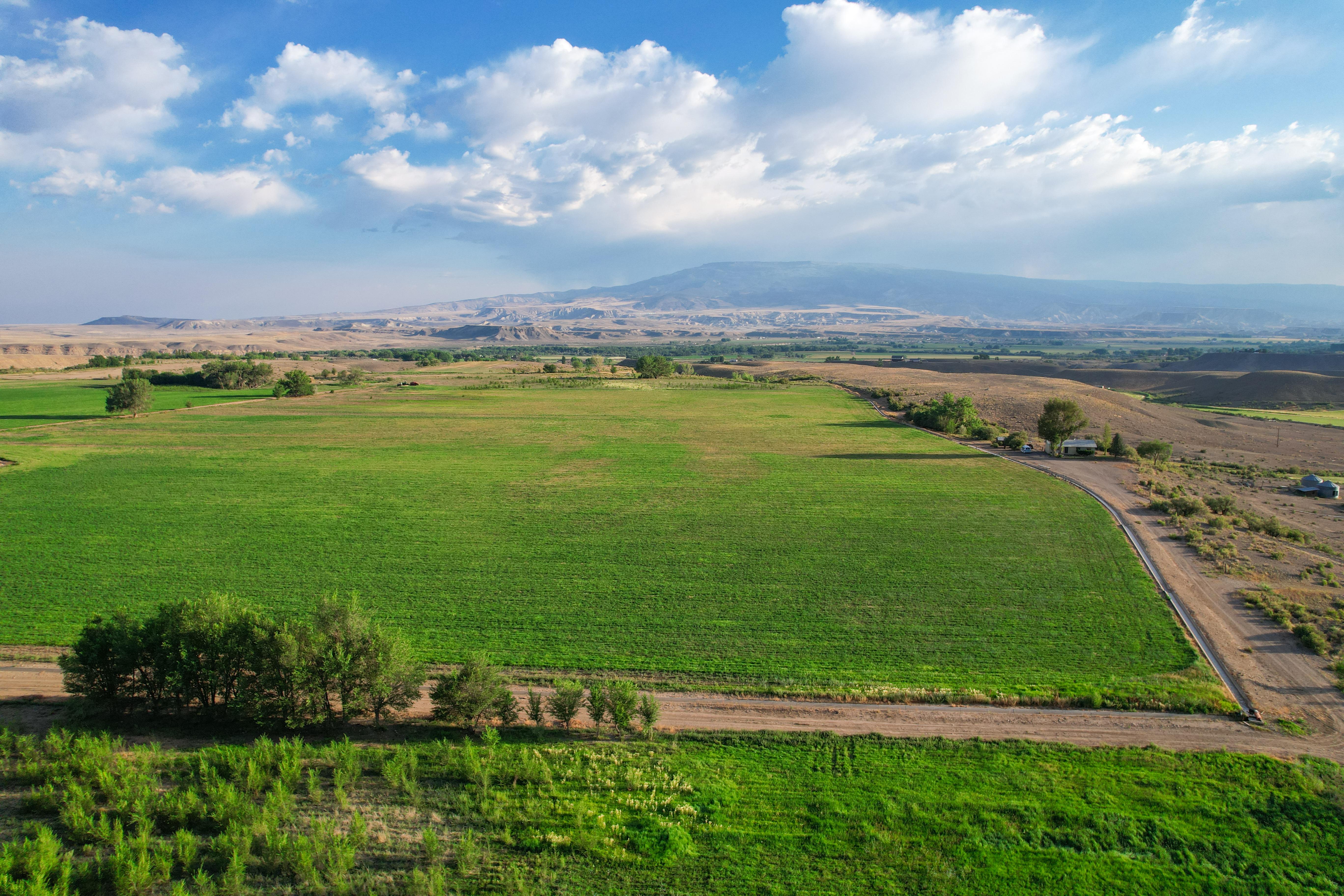 Grand Mesa View