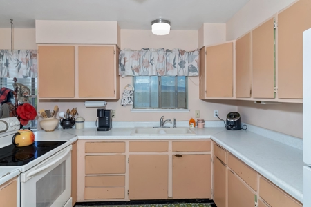 Colorado Ranch For Sale - image 11