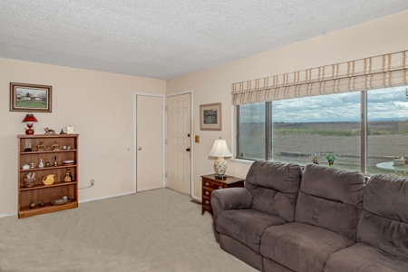 Colorado Ranch For Sale - image 9