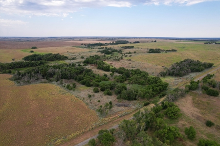 Prime Hunting & Cattle Property in Southwestern Oklahoma - image 19