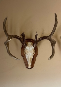 Prime Hunting & Cattle Property in Southwestern Oklahoma - image 40